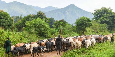 14-Day Omo Valley Tribes & Danakil Depression Adventure