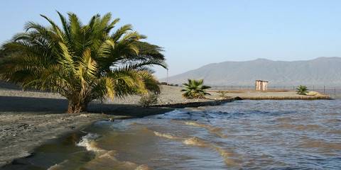 5-Day Ethiopia Rift Valley Lakes Wildlife Nature Escape