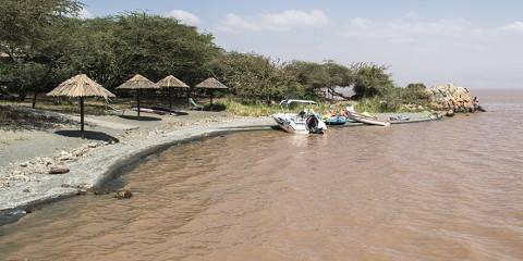 5-Day Yirgachefe Coffee Ethiopia Tour