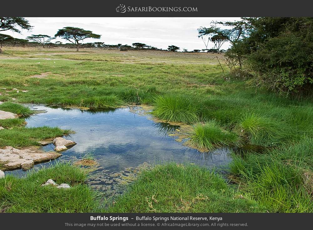 Buffalo Springs in Buffalo Springs National Reserve, Kenya