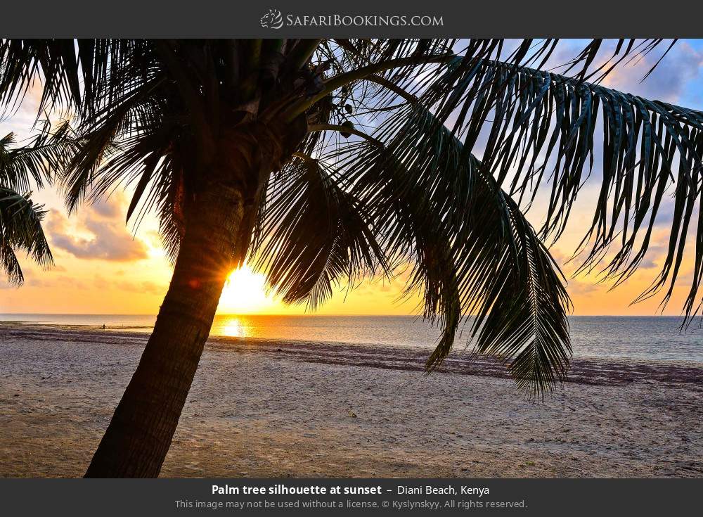 Diani Beach at sunset in Diani Beach, Kenya