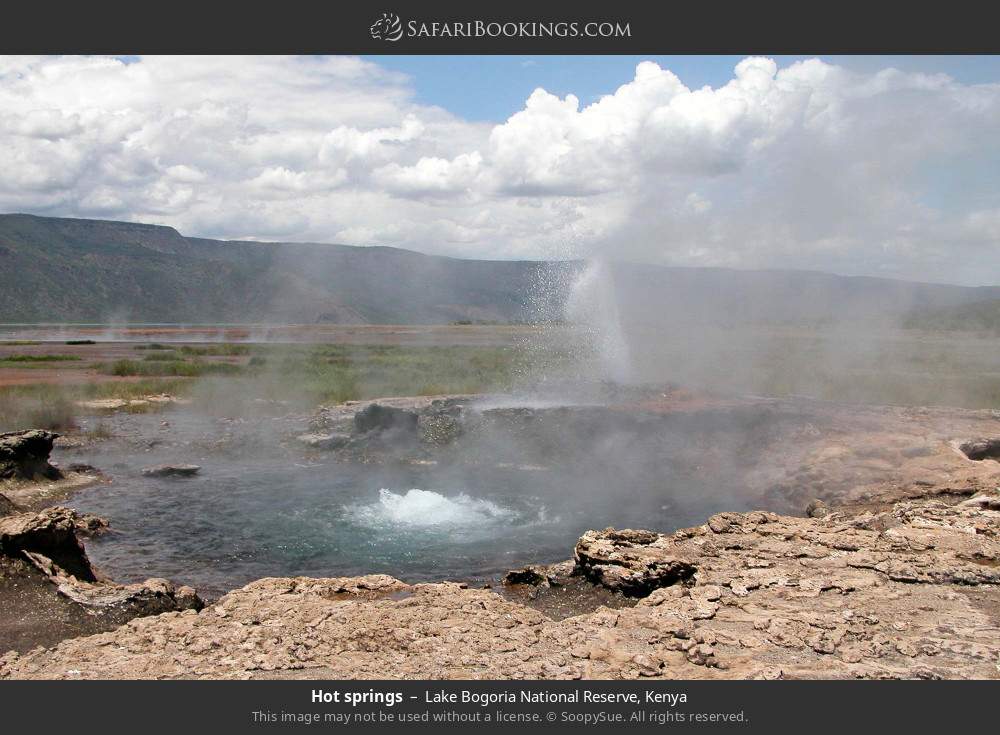 Hot springs in Lake Bogoria National Reserve, Kenya