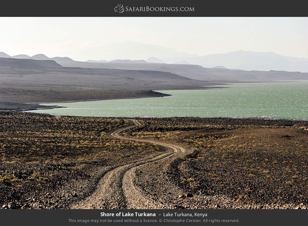 Shore of Lake Turkana in Lake Turkana, Kenya