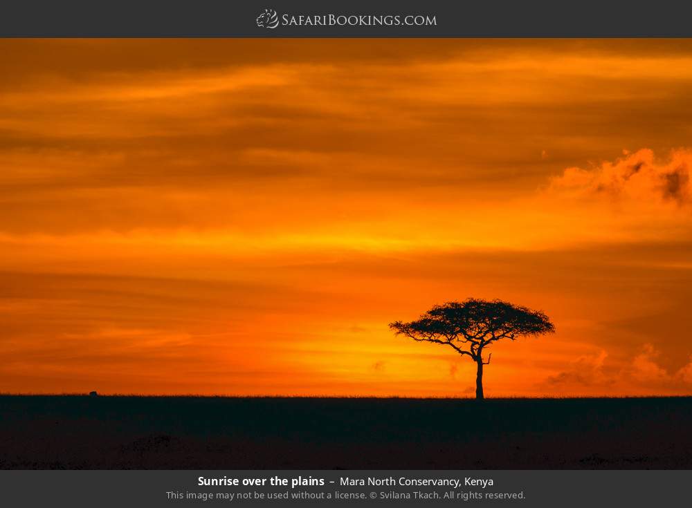 Sunrise over the plains in Mara North Conservancy, Kenya