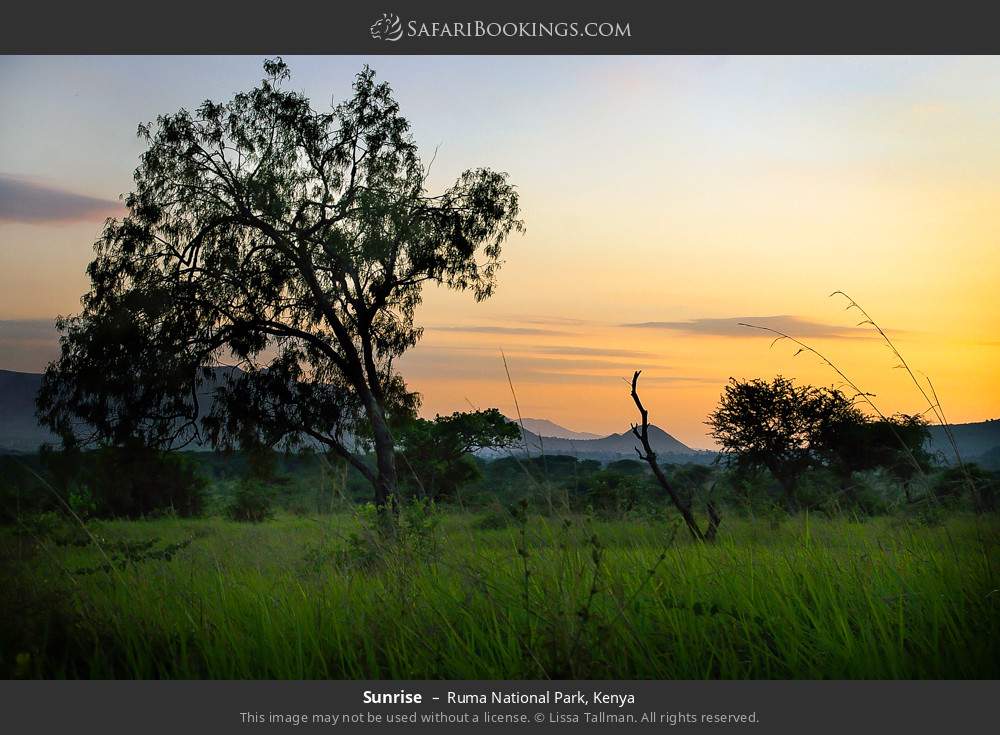 Sunrise in Ruma National Park, Kenya