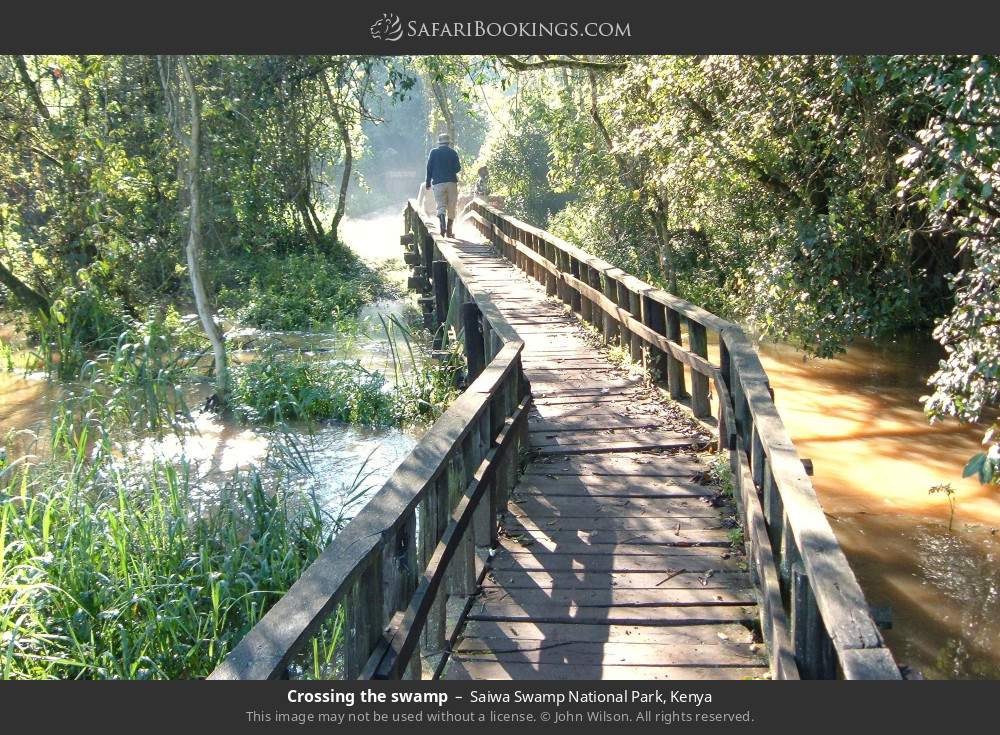 Crossing the swamp in Saiwa Swamp National Park, Kenya
