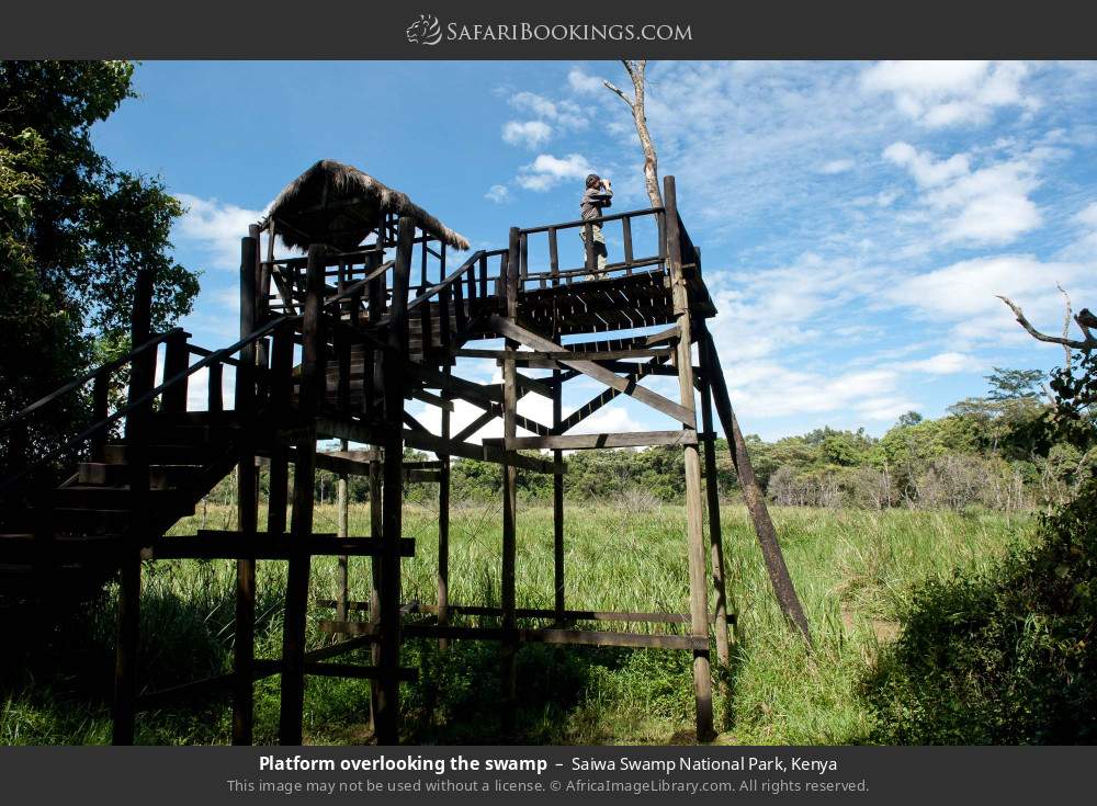 Platform overlooking the swamp in Saiwa Swamp National Park, Kenya