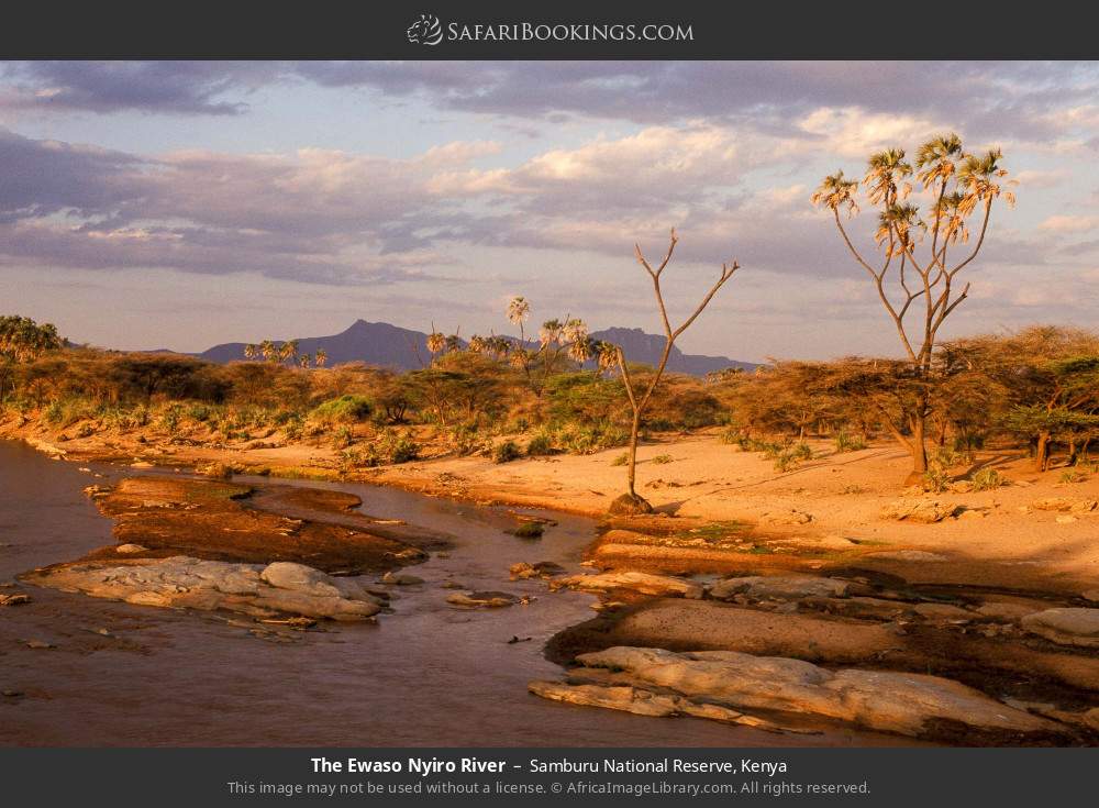 The Ewaso Nyiro River in Samburu National Reserve, Kenya