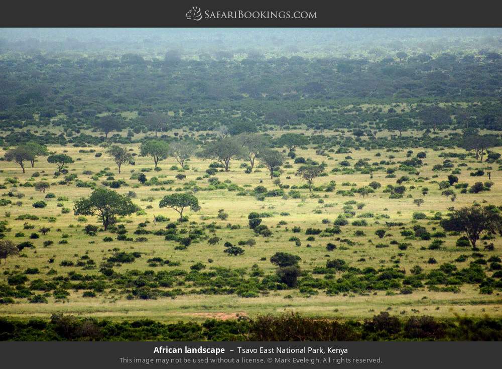 African landscape in Tsavo East National Park, Kenya