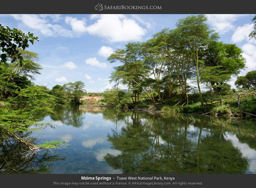 Mzima Springs in Tsavo West National Park, Kenya