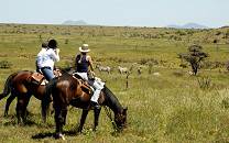 Borana Conservancy