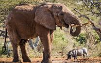 Chyulu Hills National Park