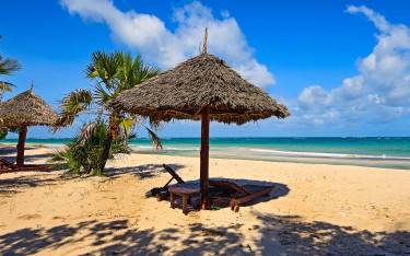 Umbrellas on the beach