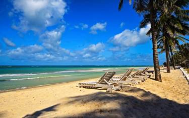 Sunbeds on the beach