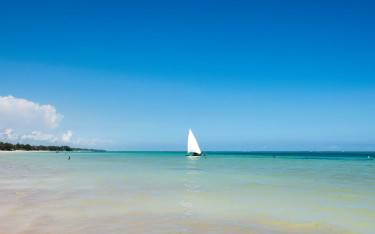 Traditional dhow sailing along the coastline