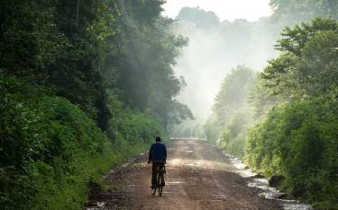 Cyclist in early morning mist on the road through the reserve