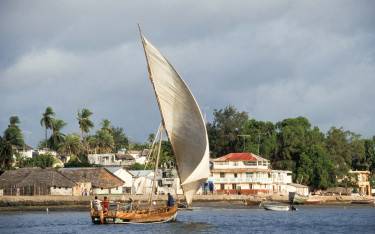 Swahili dhow sailing past Lamu town