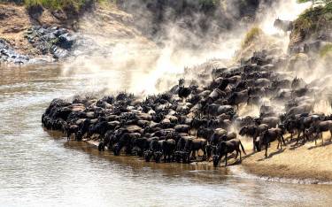 Best Things To Do in Kenya