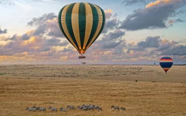 Balloon safari