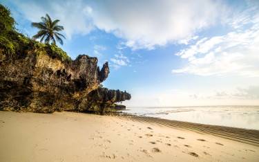 Rocky outcrops and palm trees on the beach
