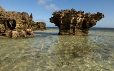 Coral outcrop in the sea