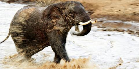 9-Day Ultimate Kenya Group Safari