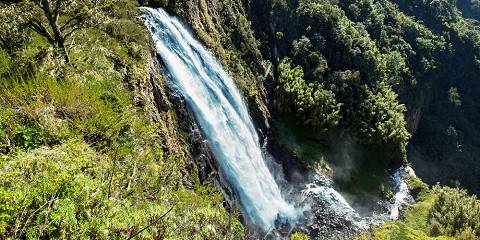 1-Day Aberdares National Park - Waterfalls Tour Edition