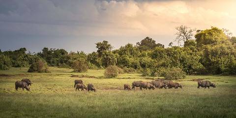 5-Day Best of Masai Mara and Lake Naivasha