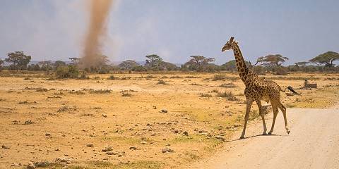 3-Day Romantic Maasai Mara Safari in a Private Jeep