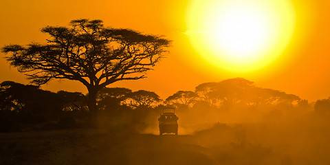 11-Day Kenyas Iconic Safari from Peak to Plains