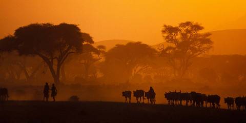 Amboseli National Park Overnight Safari