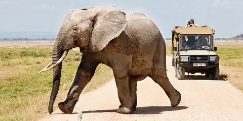3-Day Masai Mara Migration Extravaganza Safari