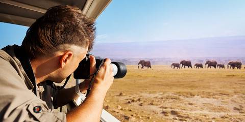 8-Day Amboseli, Naivasha, Nakuru & Mara Budget Tour