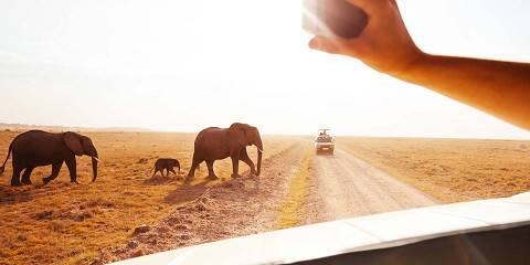 5-Day Amboseli and Tsavo West - Luxury