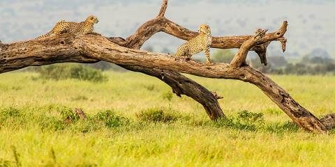 6-Day Triple Treat-One Epic Adventure