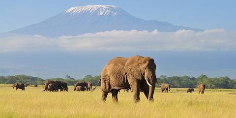 3-Day Amboseli Private Midrange Safari
