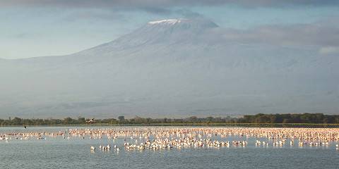 7-Day Romantic Kenya Experience