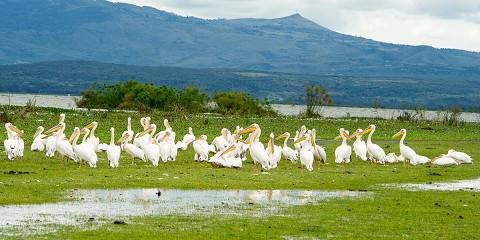 5-Day Memorable Luxury Safari