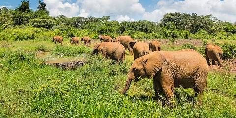6-Day Wild Horizons Safari