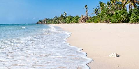 8-Day Kenya Bush and Beach Safari
