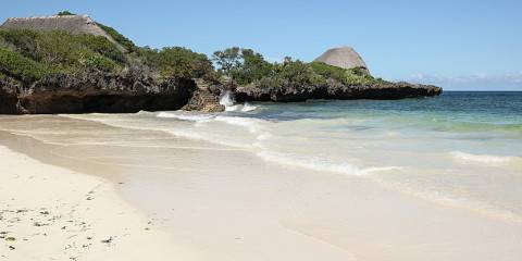 10-Day Iconic Wildlife Havens and Beach Experience