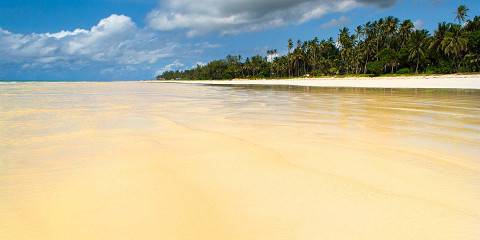 4-Day Amboseli - Tsavo - Mombasa / Diani Budget Safari