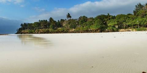 11-Day Classic Game Safari and Beach Holiday