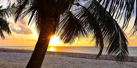 6-Day Masai Mara and Diani Beach Luxury Safari