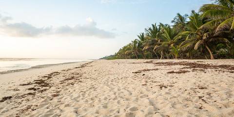 6-Day Bush Safari & Serene Beach Bliss
