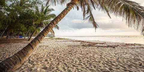 3-Day Amboseli and Tsavo West Midrange Private Tour