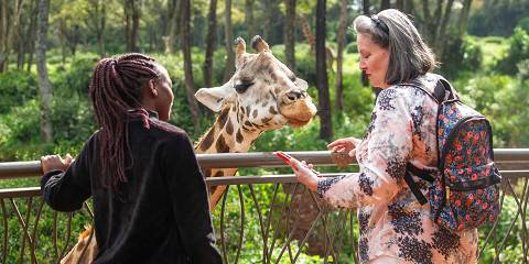 Nairobi Park , Elephant and Giraffe Center Safari