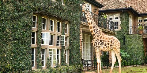 1-Day Explore Wonders of Amboseli National Park