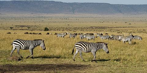 Wilderness - Lakes Group Safari