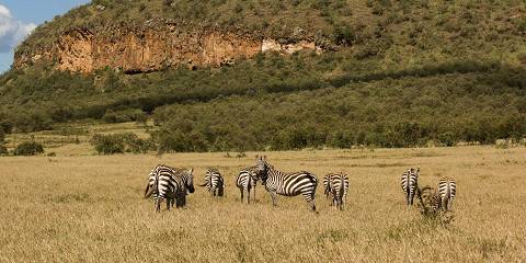 Hell's Gate NP & Lake Naivasha Private Tour